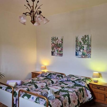 Petreto Il Giardino Dei Limoni Daire Castiglion Fiorentino Dış mekan fotoğraf