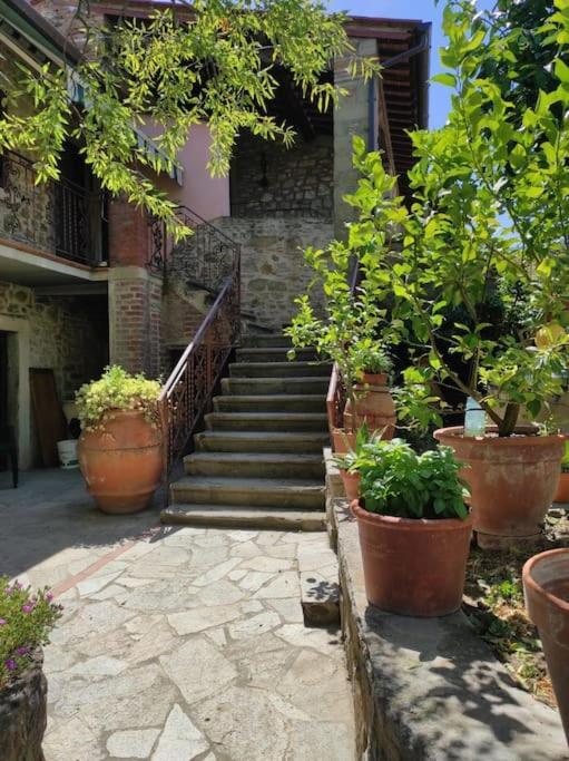 Petreto Il Giardino Dei Limoni Daire Castiglion Fiorentino Dış mekan fotoğraf