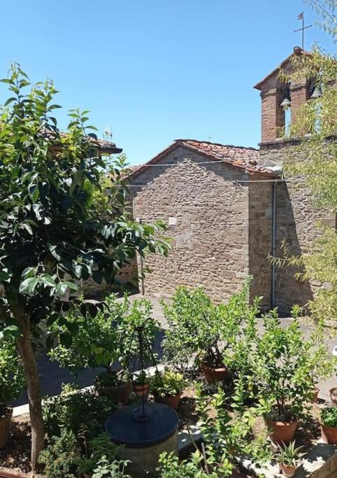 Petreto Il Giardino Dei Limoni Daire Castiglion Fiorentino Dış mekan fotoğraf